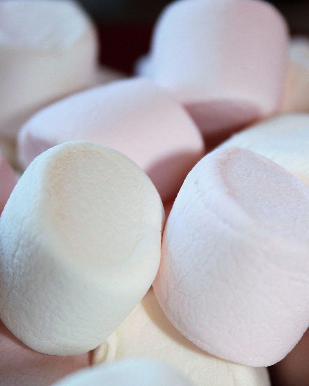 El equipo detrás de nuestros caramelos y recetas simples para todos los días
